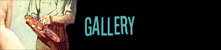 Art Gallery & Order Info!