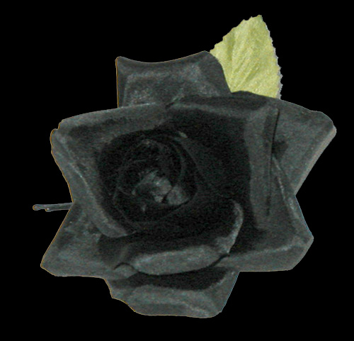 Black Rose Hair Clips