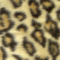 Leopard Fur Switch Plate